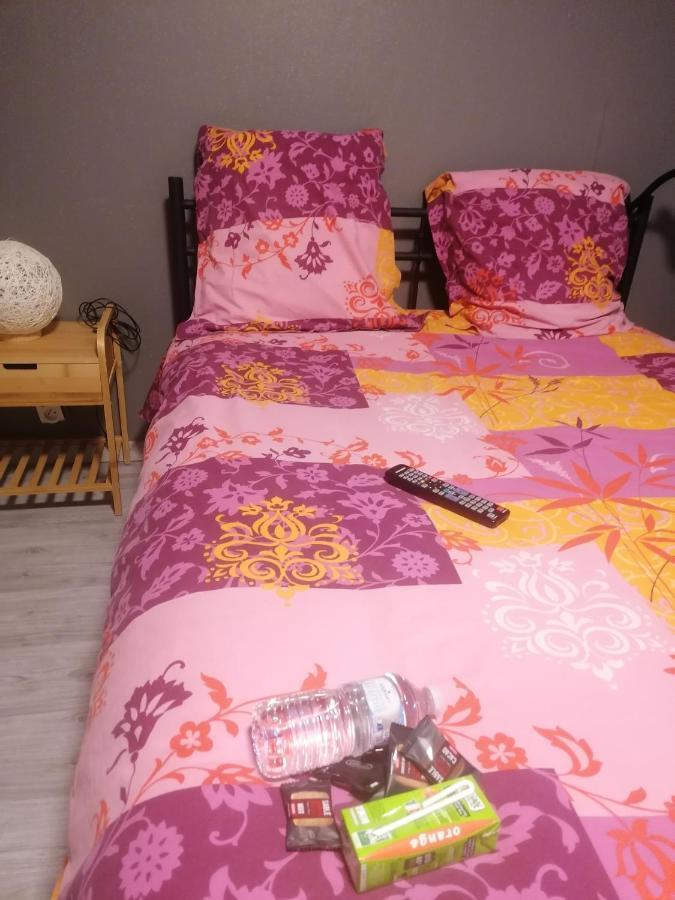 Chambre 23M2 Avec Jardin Wi-Fi Gratuit Saint-Girons Apartment Ngoại thất bức ảnh