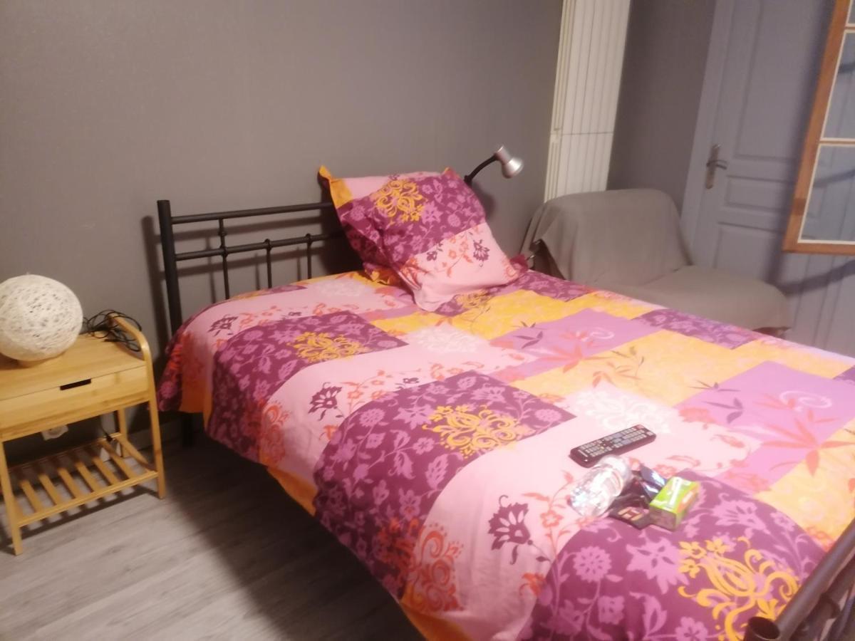 Chambre 23M2 Avec Jardin Wi-Fi Gratuit Saint-Girons Apartment Ngoại thất bức ảnh